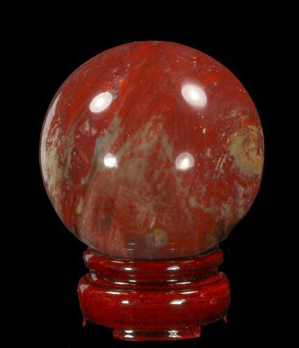 Colorful Petrified Wood Sphere #41940